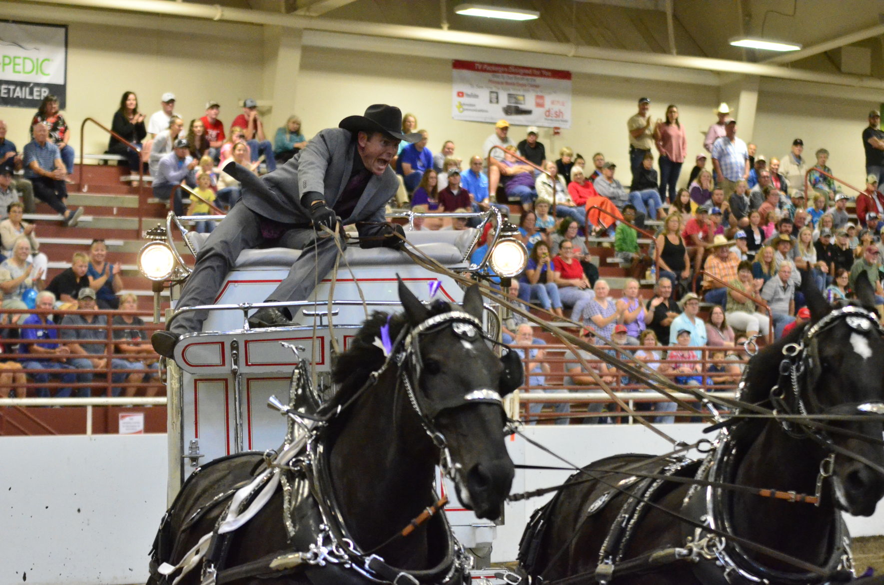 8-25-19 Draft Horse Hitch Final (93).JPG